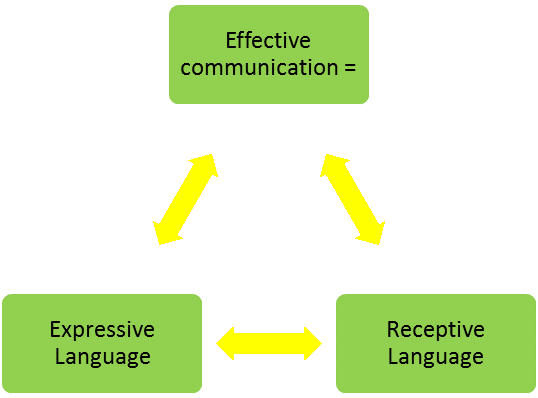 challenging-behaviour-learning-disability-receptive-expressive-and